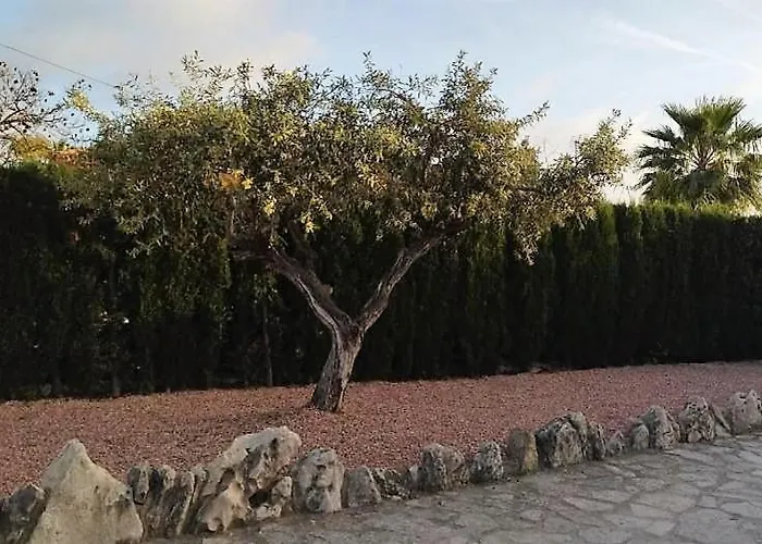 Martí * Calpe